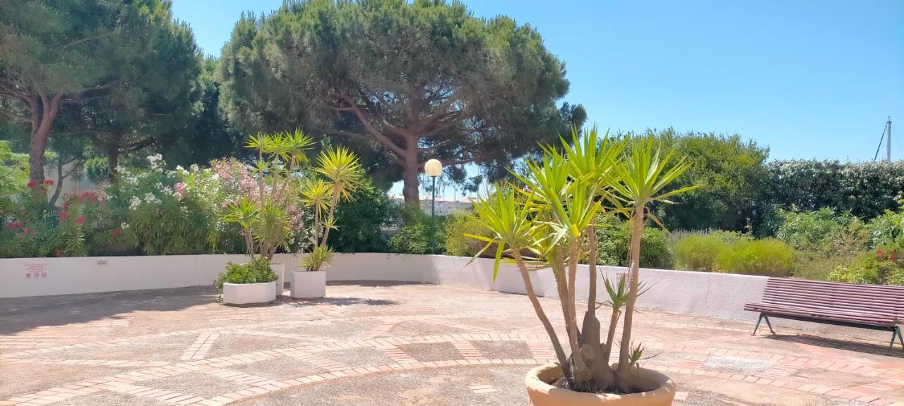 Studio Cap D'Agde La Grande Voile Exteriör bild
